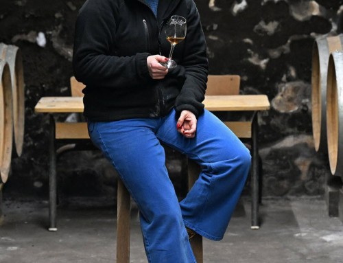 Cinq siècles de transmission de la culture de la vigne dans le Jura
